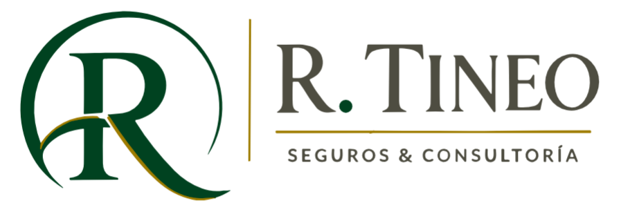Rtineo Seguros